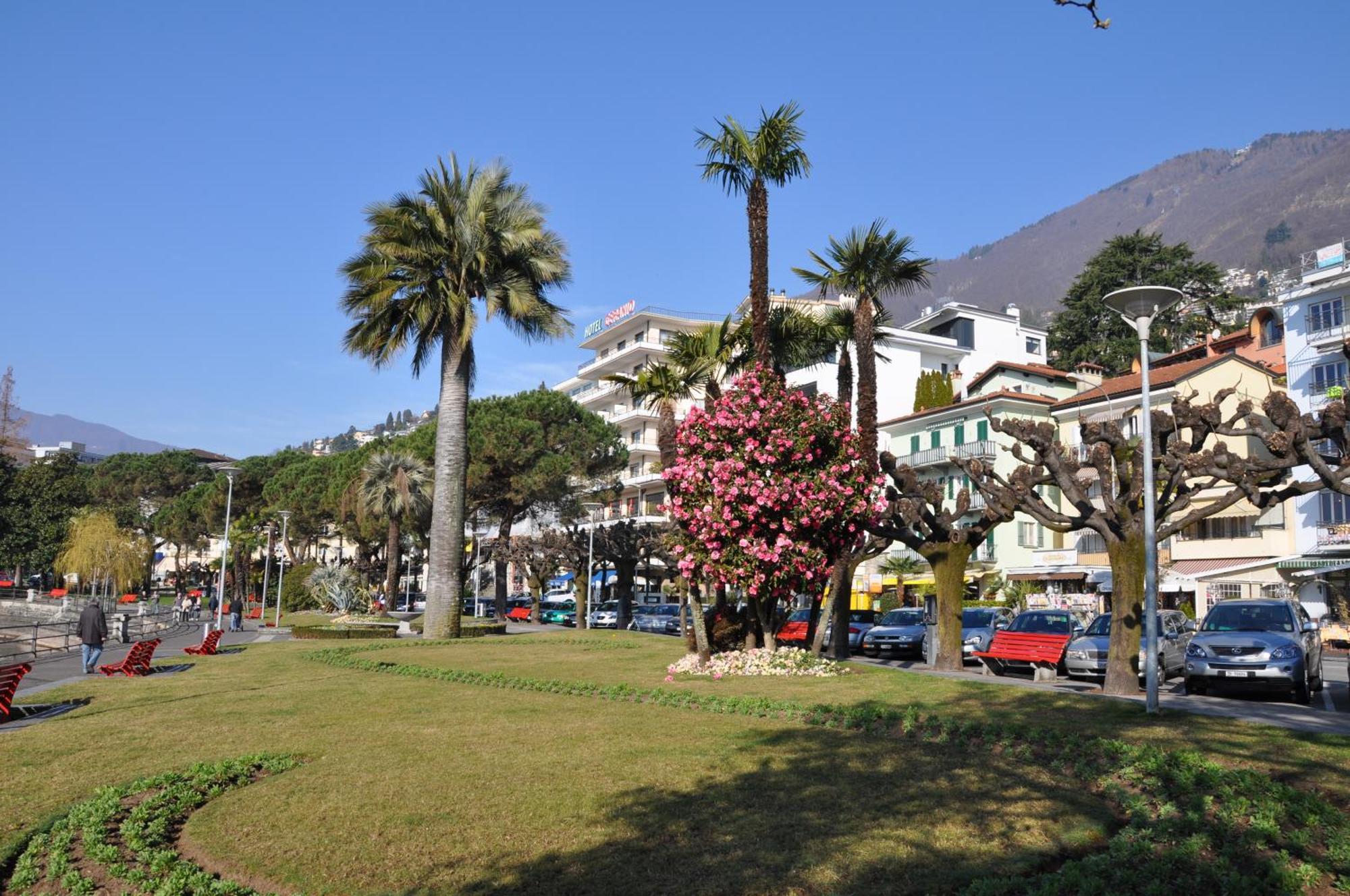 Hotel Geranio Au Lac Muralto Dış mekan fotoğraf